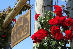 Alojamiento - Villa Las Flores Apart Hotel