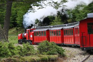 Actividad - Excursión al Parque Nacional Tierra del Fuego + Tren del Fin del Mundo