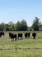 Alquiler Vacacional - Skip School (protestant school from 17th century)