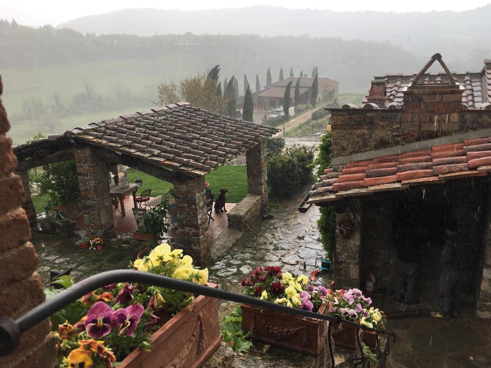 Vista Exterior Podere Terreno alla Via della Volpaia