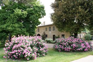 Renta temporal - Historic manor house from the 1800s with private swimming pool, in Orvieto, Umbria