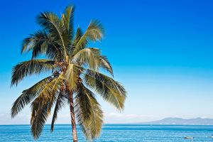 Riu Jalisco - All Inclusive