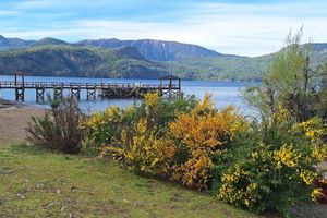 Actividad - Excursión a Villa Quila Quina