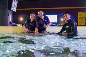 Actividad - Entrada al Acuario de la ciudad de Michin
