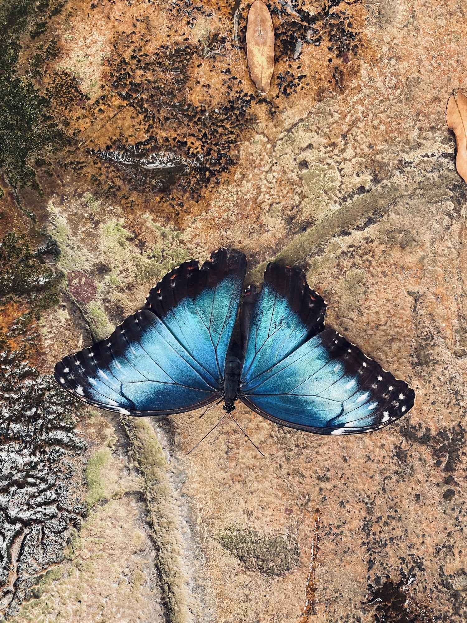 Instalaciones Recreativas Park View Hotel y Restaurante