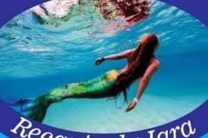 Alojamiento - Hostel Recanto da Iara