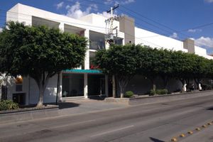 Alojamiento - Hotel Dajana Boulevard