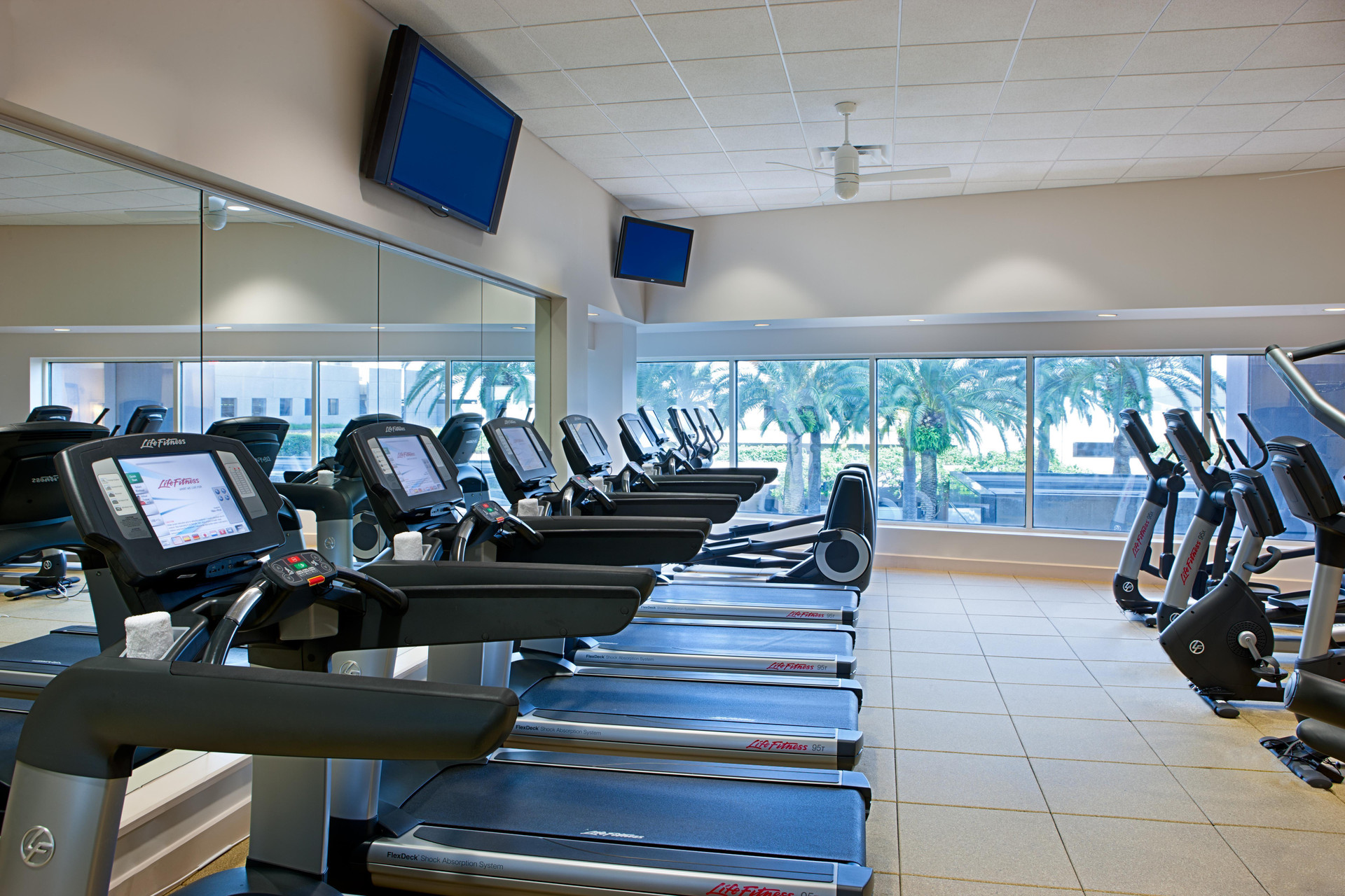 Gimnasio Grand Hyatt Tampa Bay