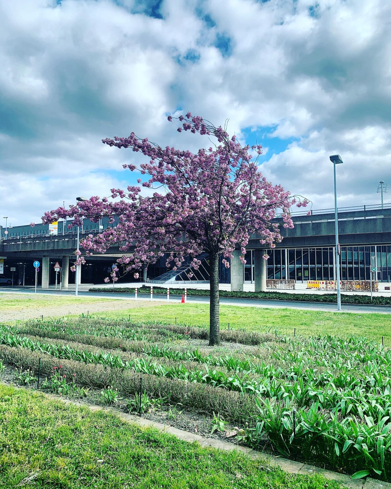 Vista Exterior Maritim Airport Hotel Hannover