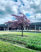 Alojamiento - Maritim Airport Hotel Hannover