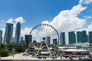 Actividad - Tour Nocturno Premium en Miami + Rueda Skyviews
