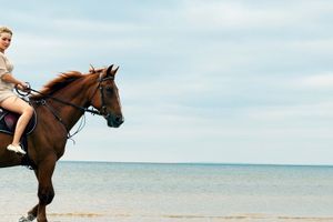 Actividad - Paseo a caballo por la playa de Wariruri