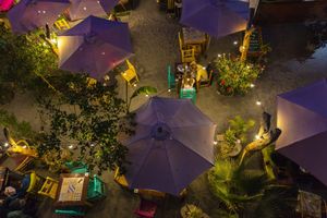 Alojamiento - Bananas Adventure Hostel