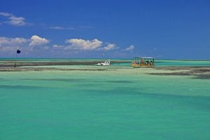 Actividad - Tour a la Playa Paripueira