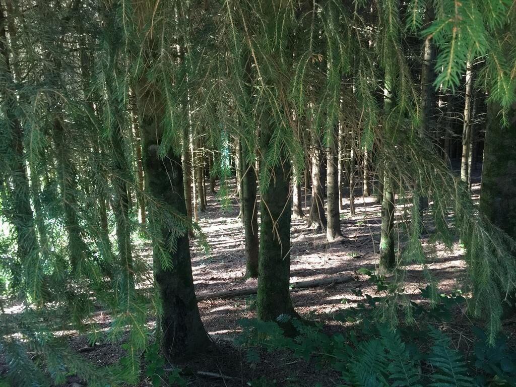 Comodidades del Alojamiento Le 'Ti 'Bou de Refuge