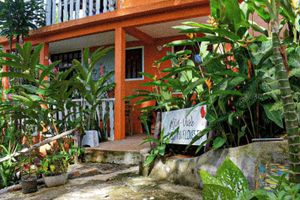 Alojamiento - Hostel Zen - Casa na Floresta