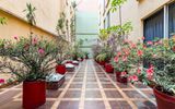 OYO Hotel Hidalgo