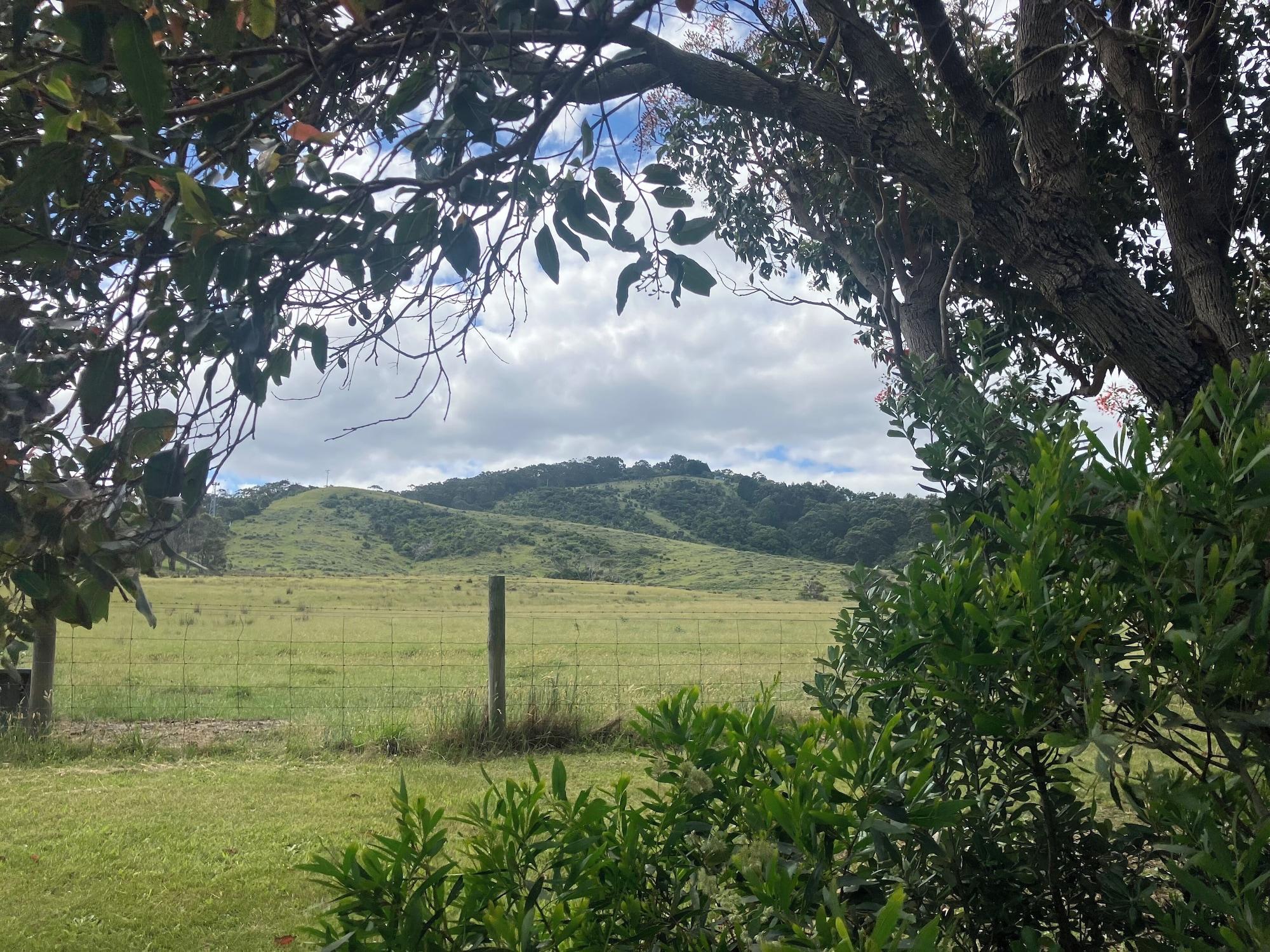 Vista Exterior 61 OCEAN ROAD MOTEL