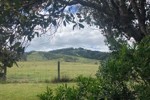 Alojamiento - 61 OCEAN ROAD MOTEL