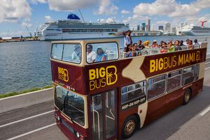 Actividad - Recorrido en autobús turístico Big Bus Miami