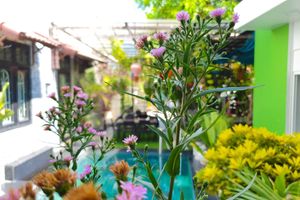 Alojamiento - Anh Family Homestay
