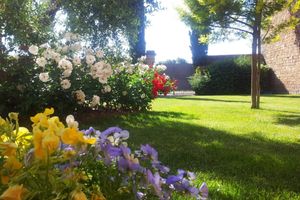 Alojamiento - Country Hotel Borgo Sant'Ippolito