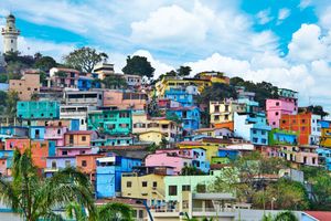 Vuelo - Vuelos a Guayaquil