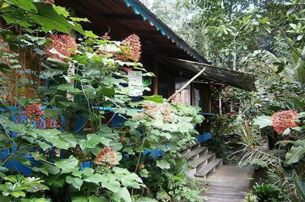 Comodidades del Alojamiento Playa Chiquita Lodge