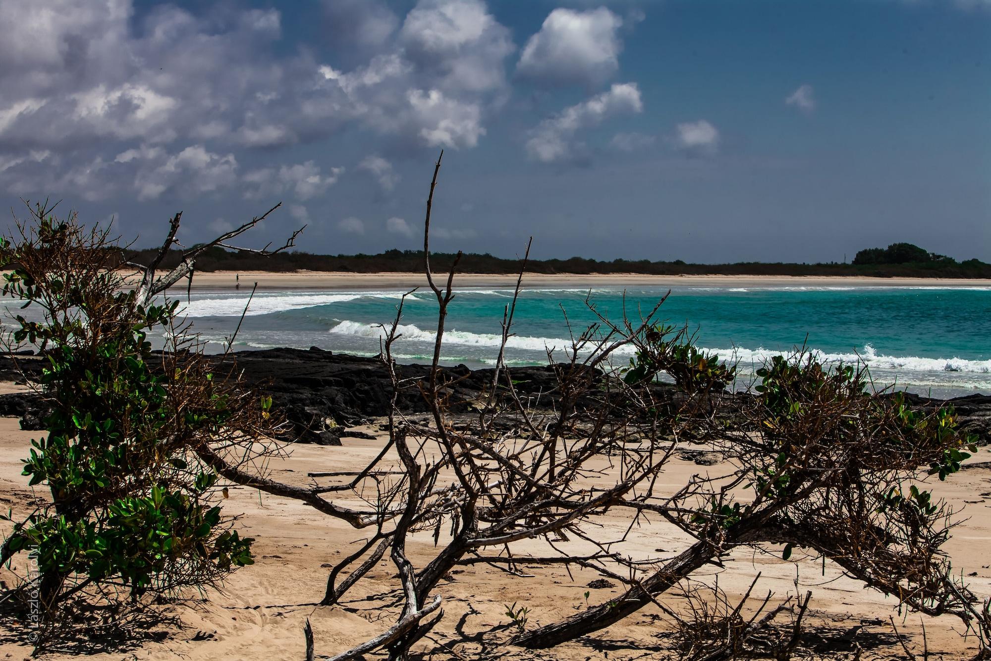 Playa Iguana Crossing Boutique Hotel