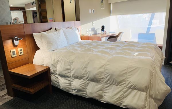 Hotel Cle Reforma Insurgentes - Hoteles en Reforma de Ciudad de México