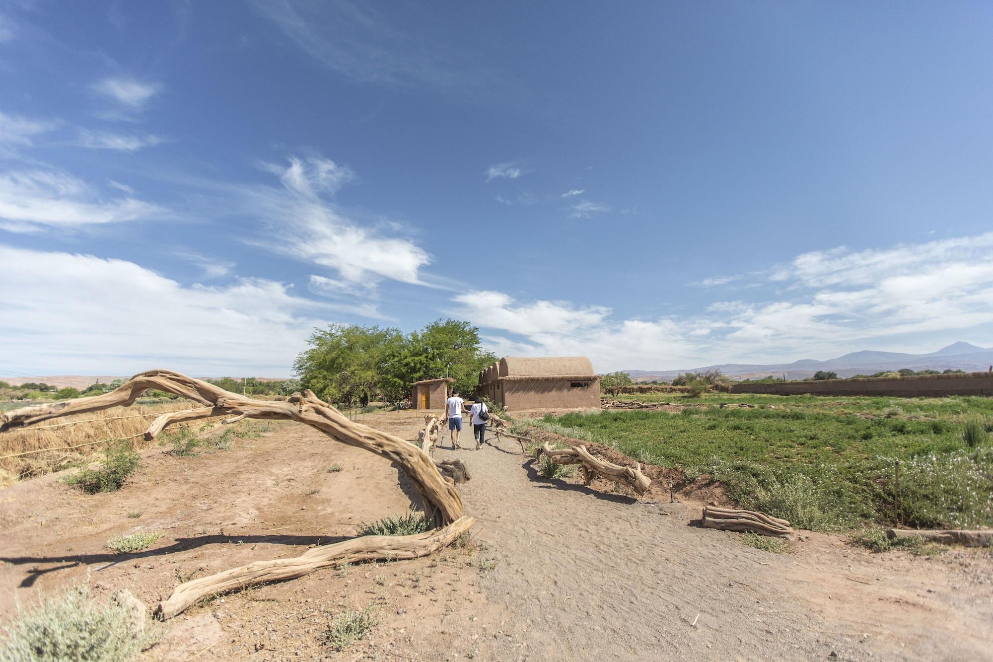 Comodidades del Alojamiento Planeta Atacama Lodge