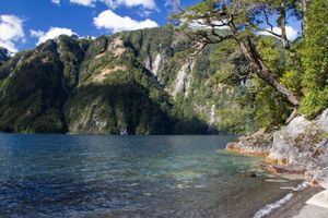 Actividad - Desde Bariloche: San Martin de los Andes por la Ruta de los 7 Lagos