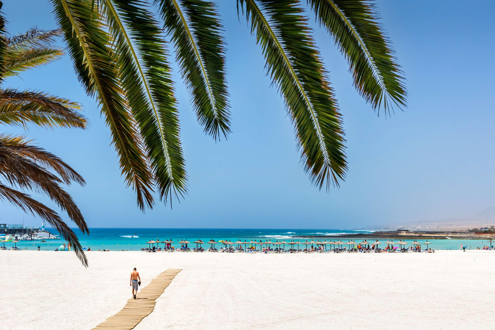 Playa Barceló Fuerteventura Royal Level