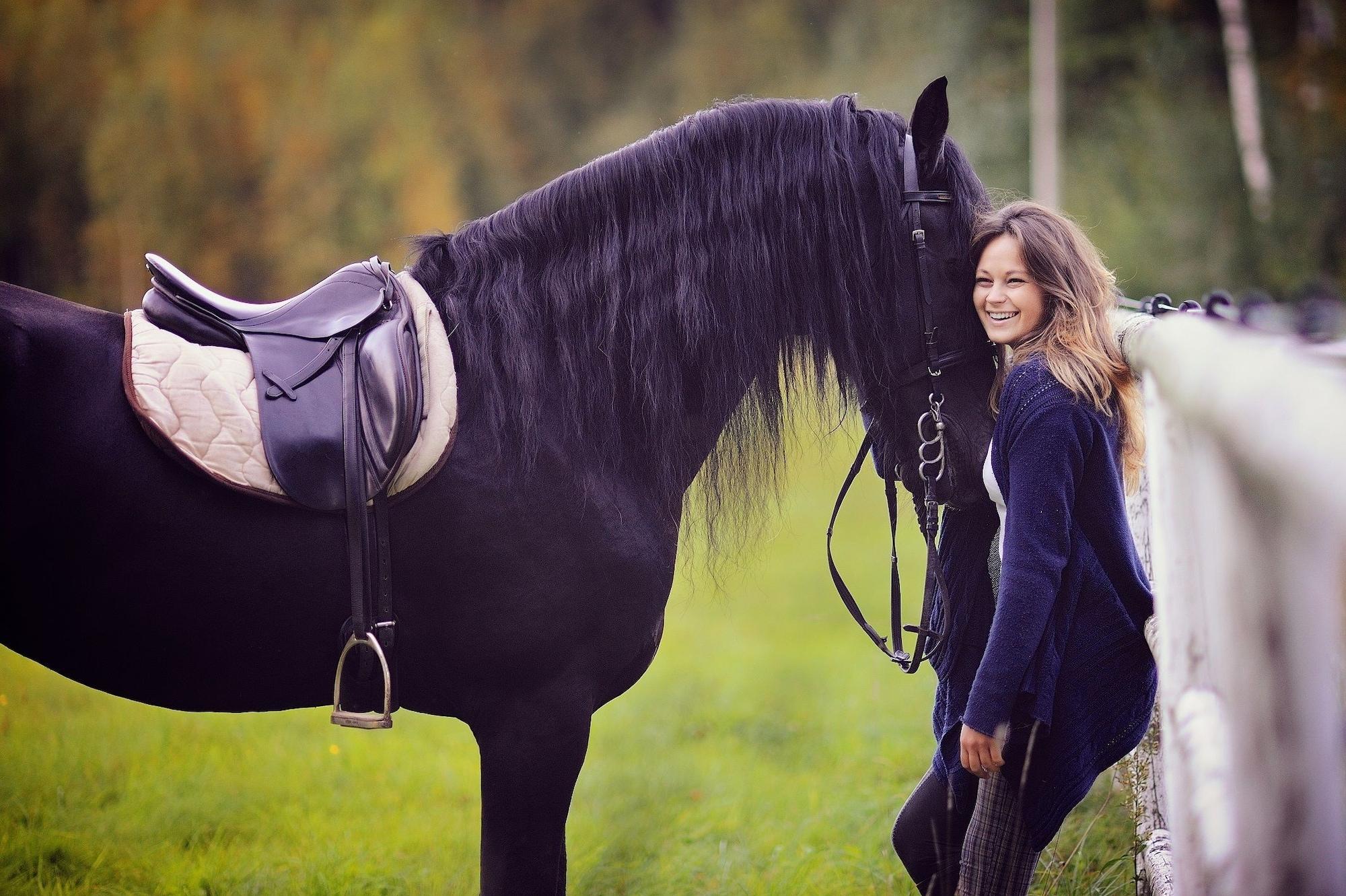 Vista Exterior Harmony Park