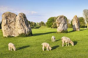 Actividad - Stonehenge y Cotswolds - Excursión de un día para grupos pequeños