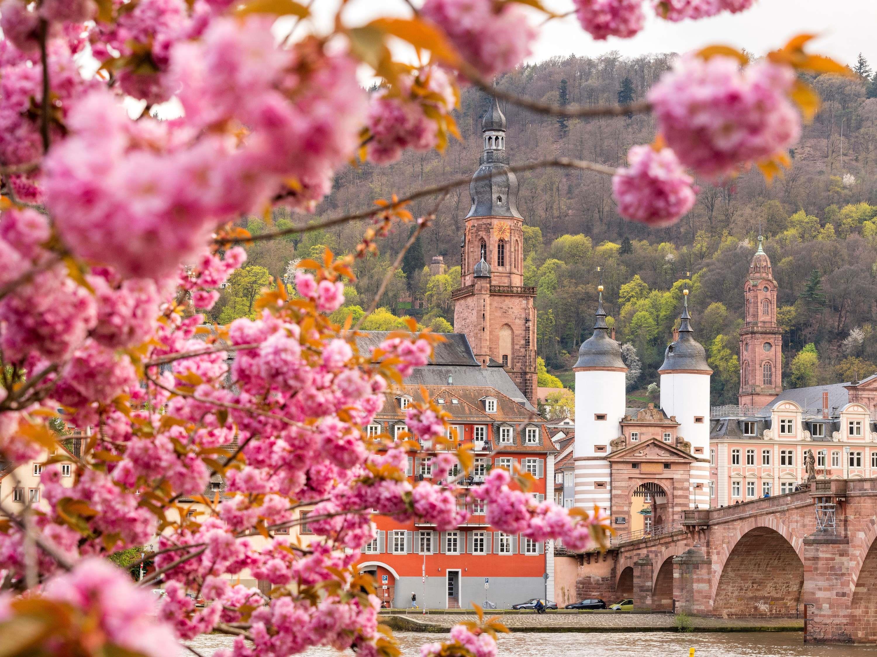 Vista Exterior ibis Heidelberg Hauptbahnhof