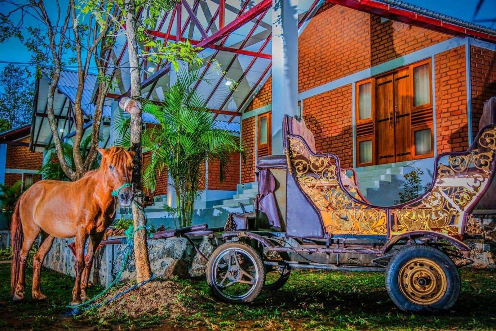 Varios Hotel Viverra