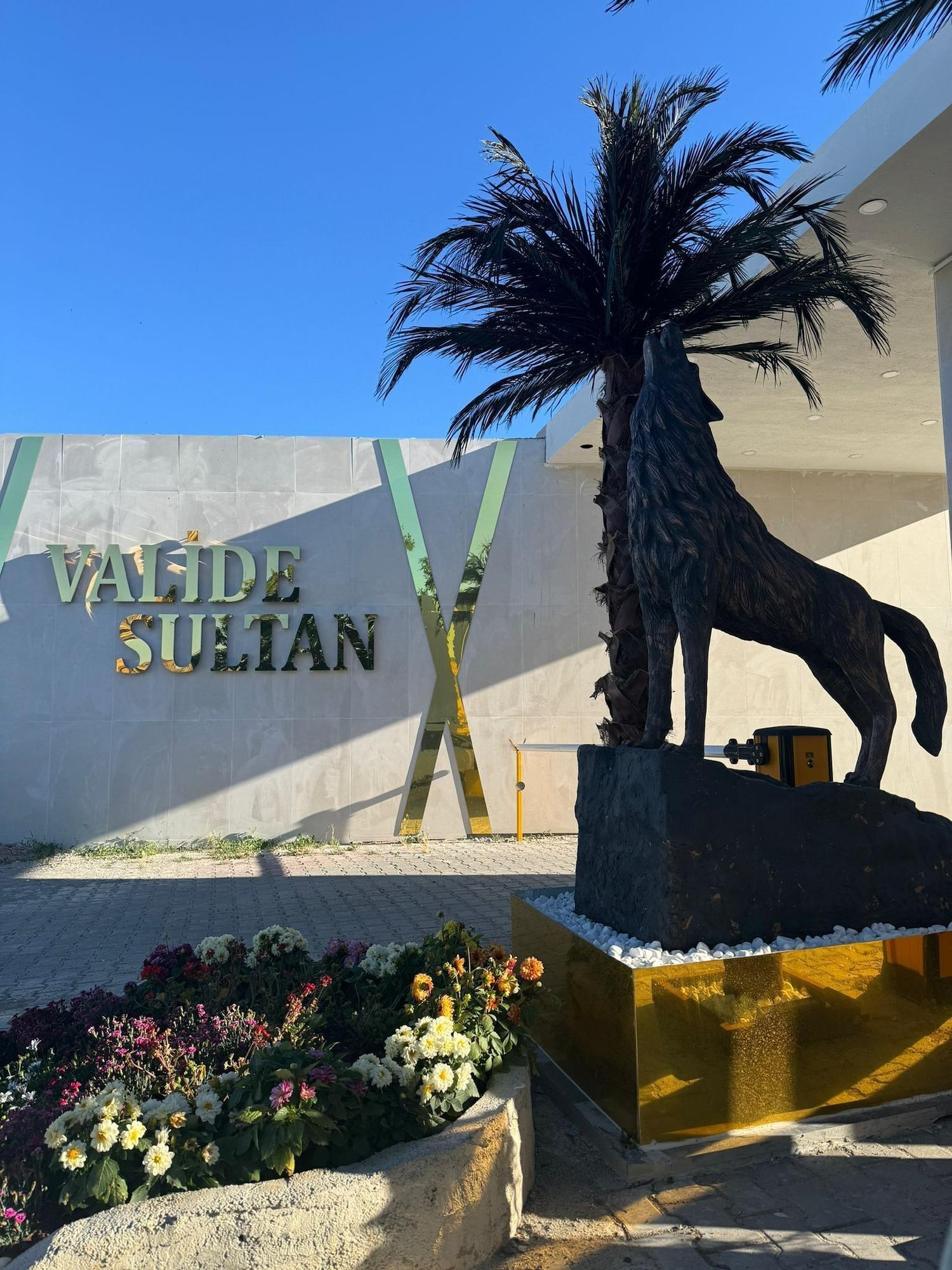 Vista Exterior VALİDE SULTAN TERMAL OTEL VE DEVREMÜLK
