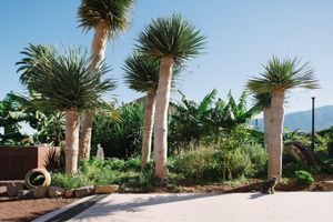 Alojamiento - Casa Rural El Patio de Tita