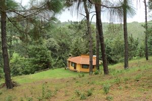 Alquiler Vacacional - Cabañas El Pinar
