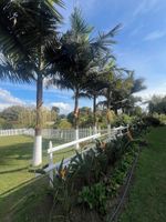 Alojamiento - Finca Hotel 12 Palmas