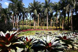 Passeio - Inhotim - Belo Horizonte