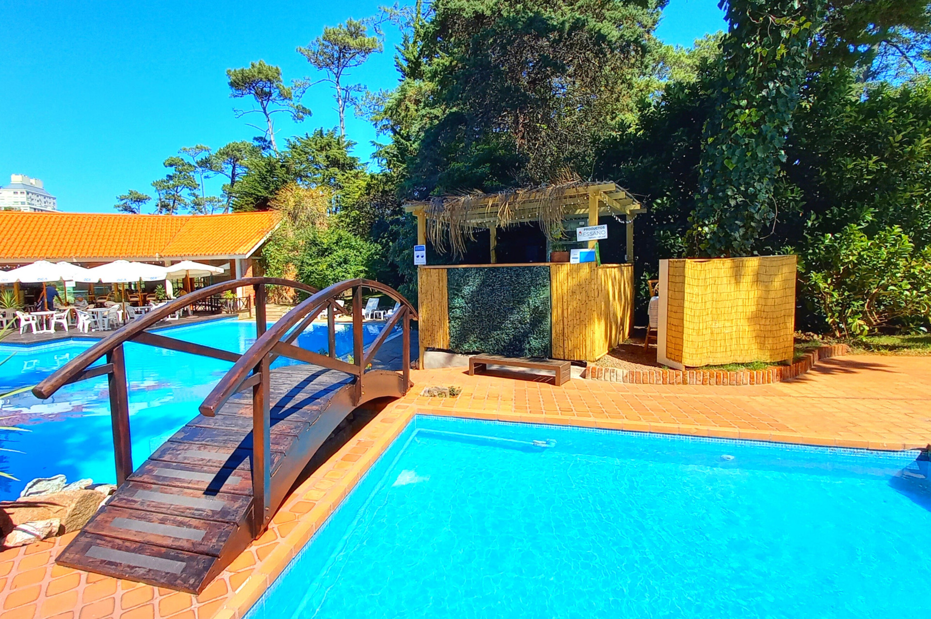 Vista Piscina Los Pinos Punta Del Este