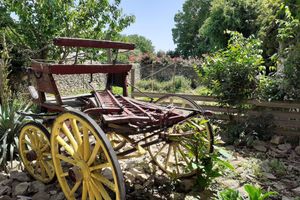 Alojamiento - Hôtel Restaurant Le Clos Des Capitelles
