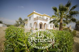 Alquiler Vacacional - La Peruela. A Spacious 4 Bed Rural Villa with private pool and stunning views