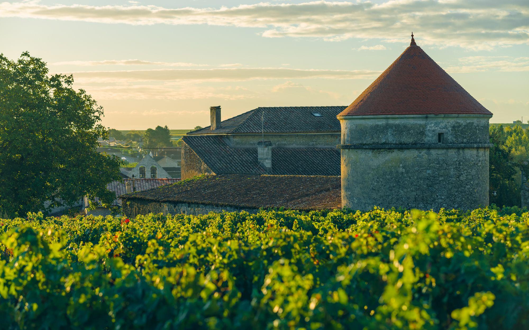 Varios Domaine de Mercade