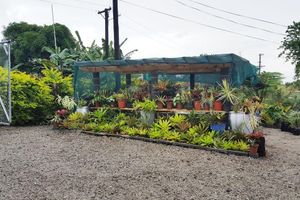 Alquiler Vacacional - Uili's Farm House