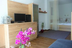 Alquiler Vacacional - Top location on Lake Millstatt, Bade-u. Walking holidays, cycling, golf, winter holidays