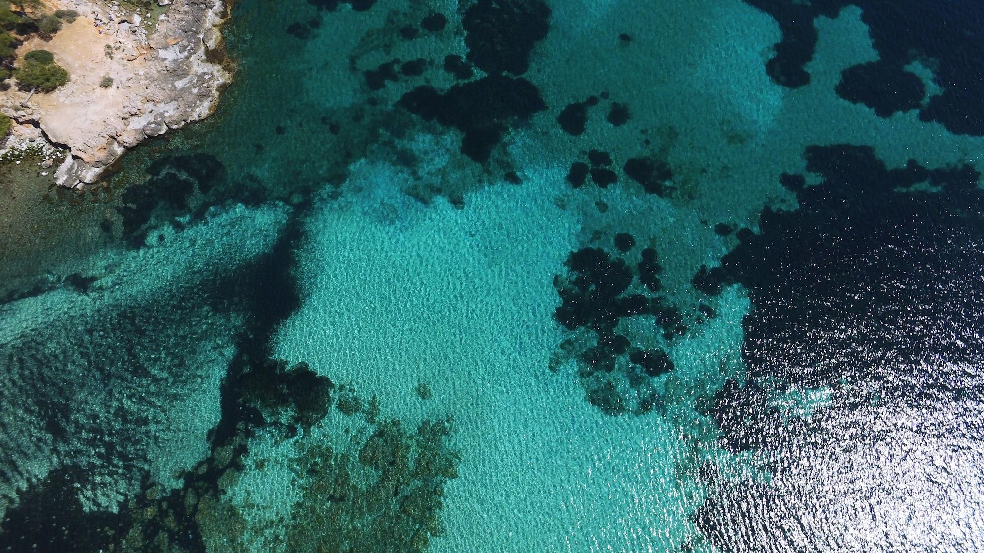 Playa Son Caliu Apartamentos