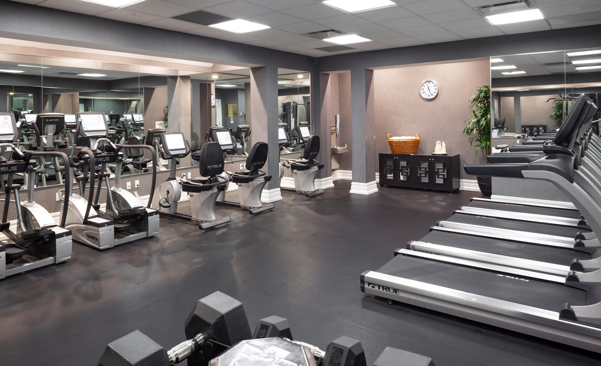 Instalaciones Recreativas The Manhattan Club